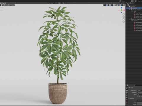 Plants collection 812 3D Model