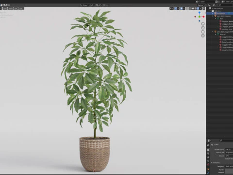 Plants collection 812 3D Model