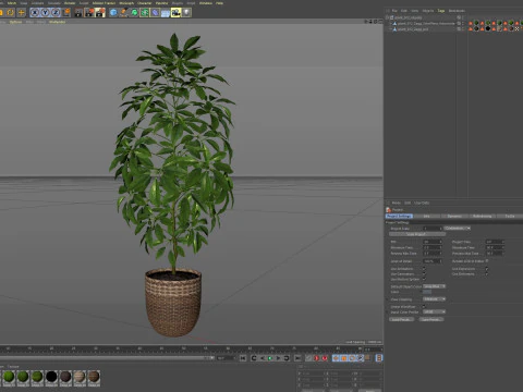 Plants collection 812 3D Model