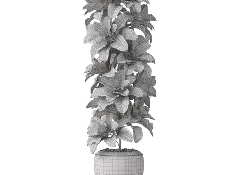 Plants collection 813 3D Модель