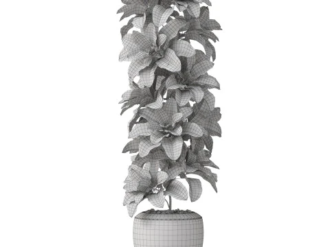 Plants collection 813 3D Model