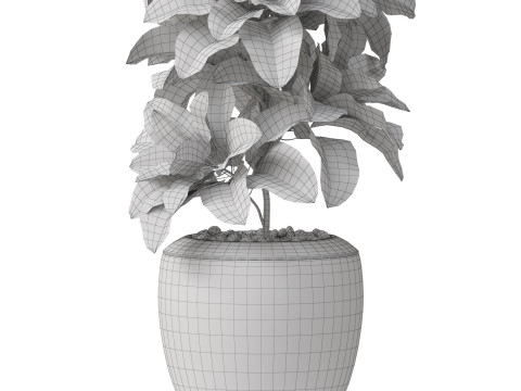 Plants collection 813 3D Модель