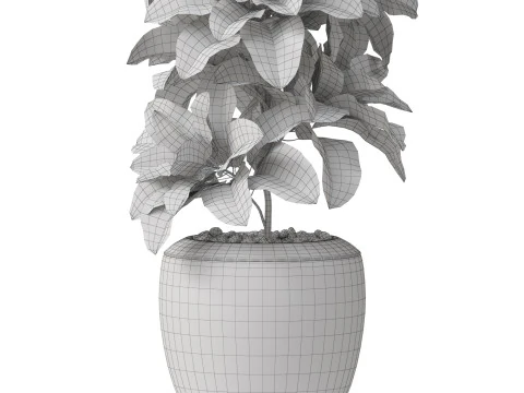 Plants collection 813 3D Model