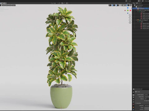 Plants collection 813 3D Model