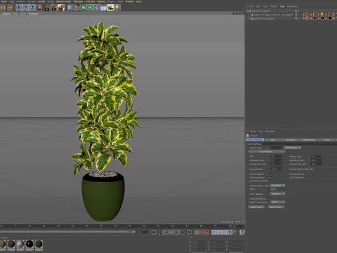 Plants collection 813 3D Model