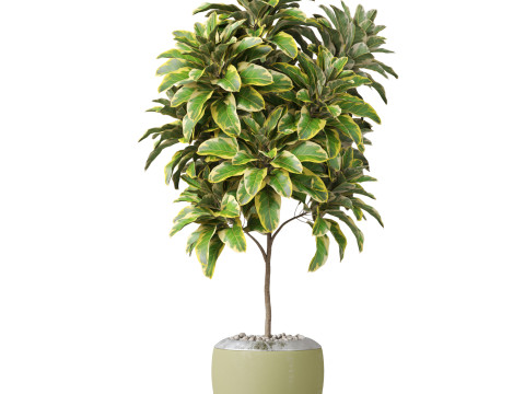 Plants collection 814 3D Модель