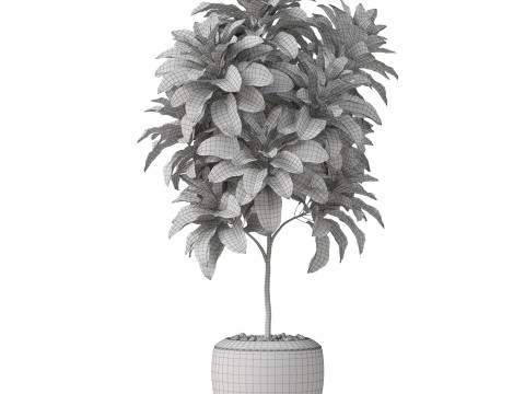 Plants collection 814 3D Модель
