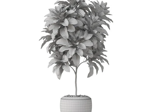 Plants collection 814 3D Model