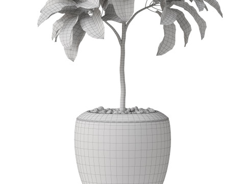 Plants collection 814 3D Модель
