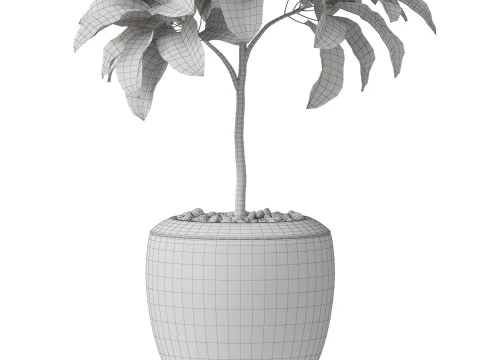 Plants collection 814 3D Model