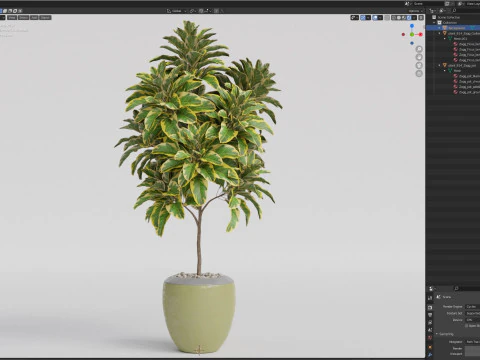 Plants collection 814 3D Model