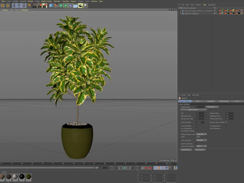 Plants collection 814 3D Model