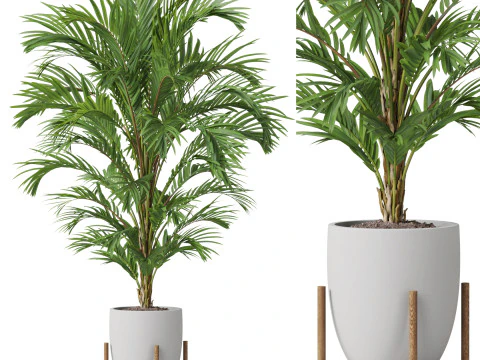 पौधों का संग्रह 815 3D मॉडल