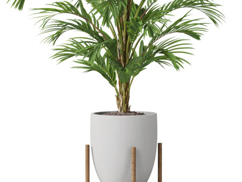 Collezione piante 815 Modello 3D