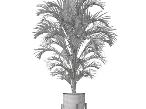 Plants collection 815 Modèle 3D