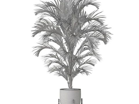 Collezione piante 815 Modello 3D