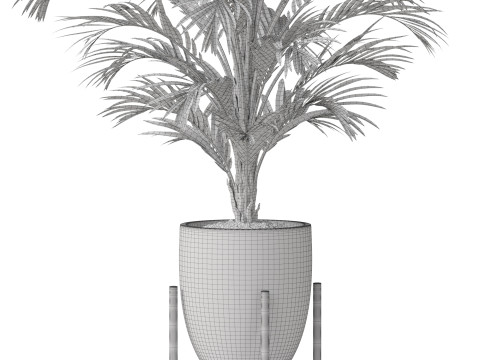Plants collection 815 Modèle 3D