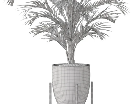 Collezione piante 815 Modello 3D