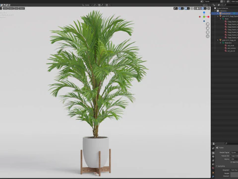 Collezione piante 815 Modello 3D