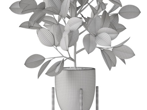 Plants collection 816 3D Модель
