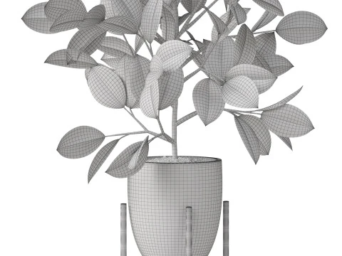 Plants collection 816 3D Model