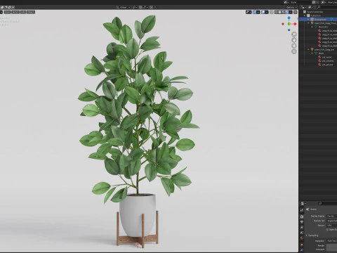 Plants collection 816 3D Model