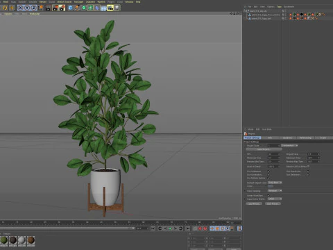 Plants collection 816 3D Model