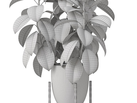 Plants collection 817 3D Модель