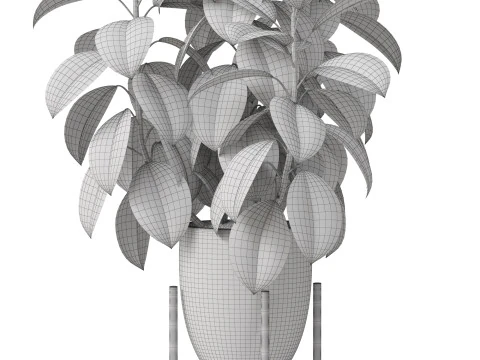Plants collection 817 3D Model