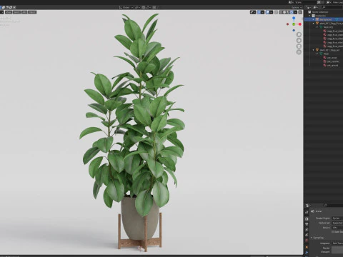 Plants collection 817 3D Model