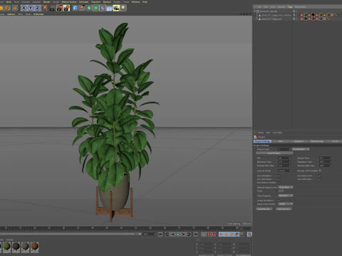 Plants collection 817 3D Model