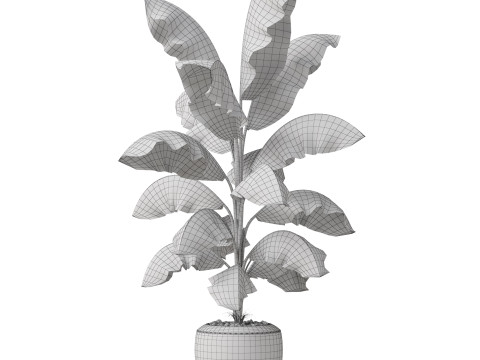 Plants collection 818 3D Модель