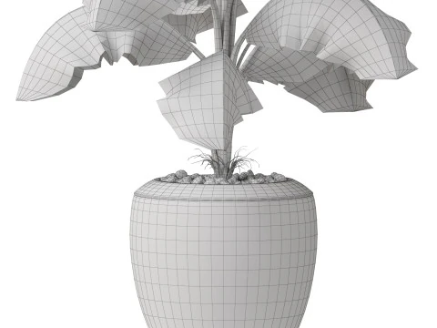 Plants collection 818 3D Model
