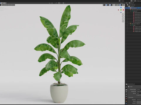 Plants collection 818 3D Model