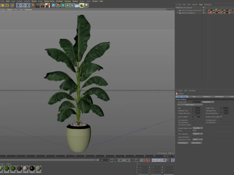 Plants collection 818 3D Model