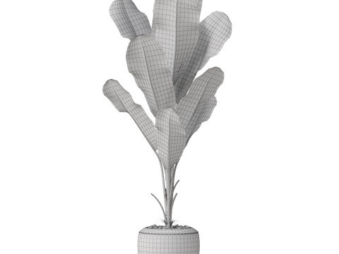 Plants collection 819 3D Модель