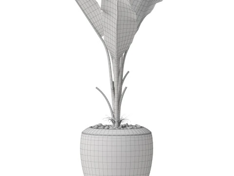 Plants collection 819 3D Model