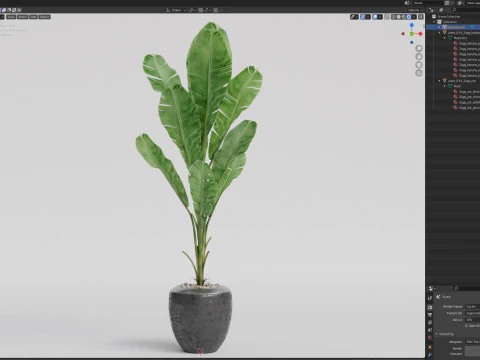 Plants collection 819 3D Model