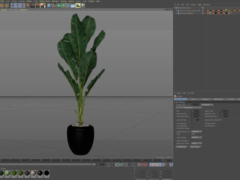 Plants collection 819 3D Model
