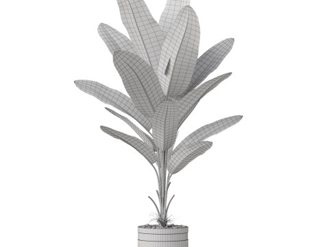 Plants collection 820 3D Модель