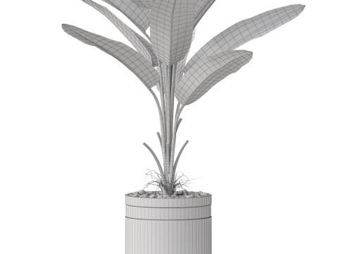 Plants collection 820 3D Модель