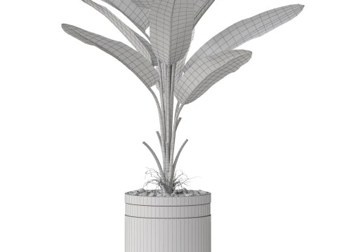 Bitki koleksiyonu 820 3D Model