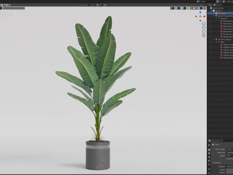 Bitki koleksiyonu 820 3D Model