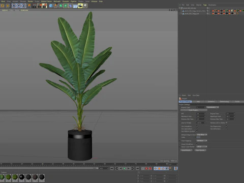 Bitki koleksiyonu 820 3D Model