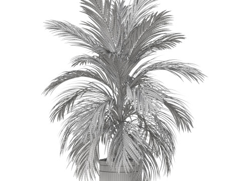 Plants collection 821 3D Model