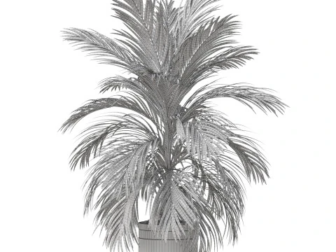 Plants collection 821 3D Model