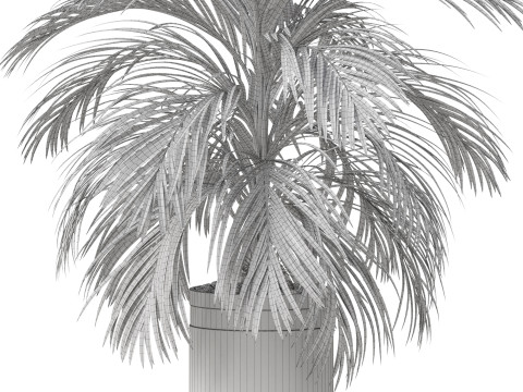 Plants collection 821 3D Model