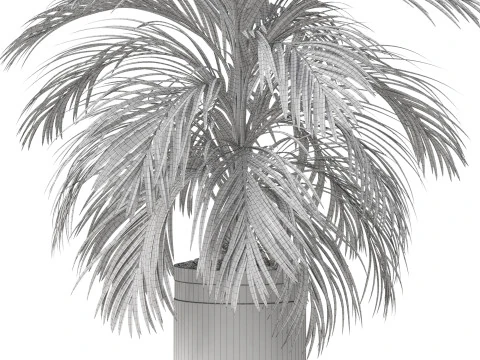 Plants collection 821 3D Model