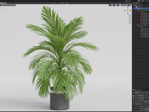 Plants collection 821 3D Model