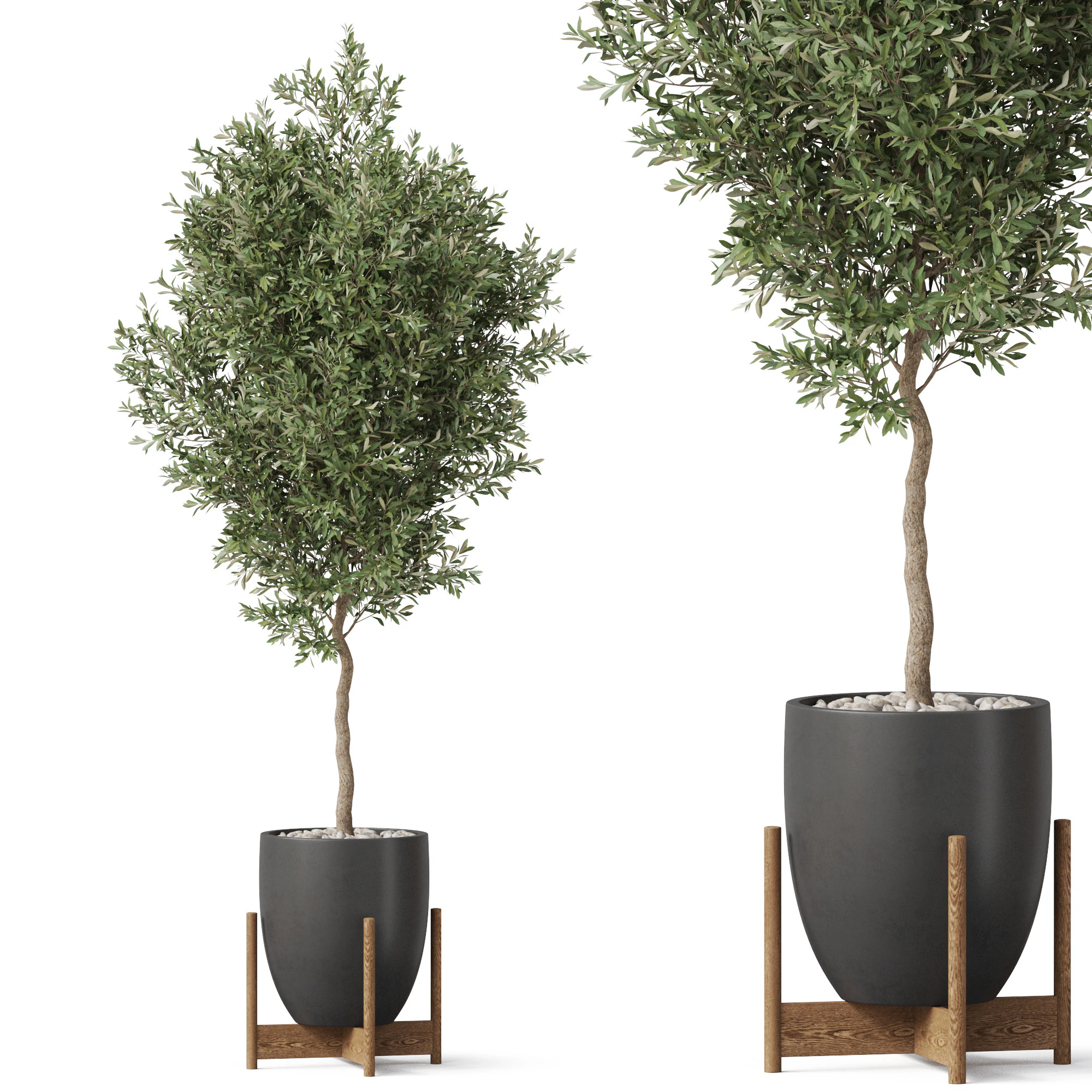 Plants collection 822 3D Model .c4d .max .obj .3ds .fbx .stl .blend 
